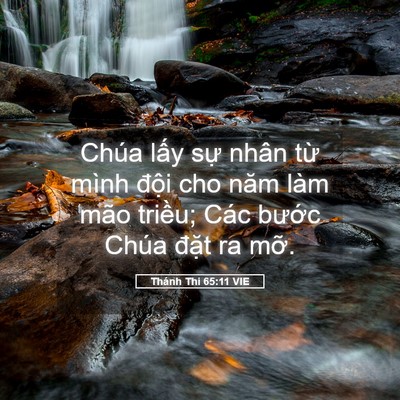 Picture 05 - Thánh Thi 65:11 VIE - Chúa lấy sự nhân từ mình đội cho năm - Bible Verse Picture