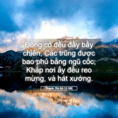 Picture 05 - Thánh Thi 65:13 VIE - Đồng cỏ đều đầy bầy chiên, Các - Bible Verse Picture
