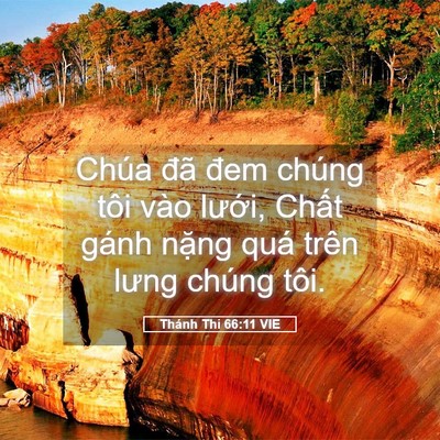 Picture 05 - Thánh Thi 66:11 VIE - Chúa đã đem chúng tôi vào lưới, Chất - Bible Verse Picture