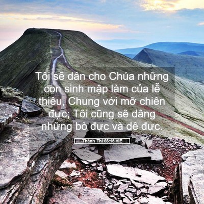 Picture 05 - Thánh Thi 66:15 VIE - Tôi sẽ dân cho Chúa những con sinh mập - Bible Verse Picture