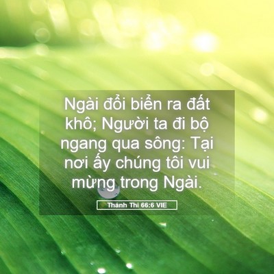 Picture 05 - Thánh Thi 66:6 VIE - Ngài đổi biển ra đất khô; Người ta - Bible Verse Picture