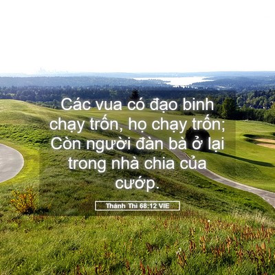 Picture 05 - Thánh Thi 68:12 VIE - Các vua có đạo binh chạy trốn, họ - Bible Verse Picture