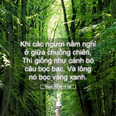 Picture 05 - Thánh Thi 68:13 VIE - Khi các ngươi nằm nghỉ ở giữa chuồng - Bible Verse Picture