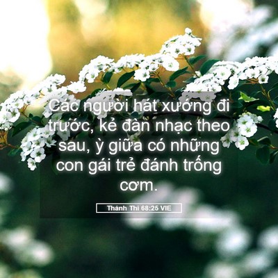 Picture 05 - Thánh Thi 68:25 VIE - Các người hát xướng đi trước, kẻ - Bible Verse Picture