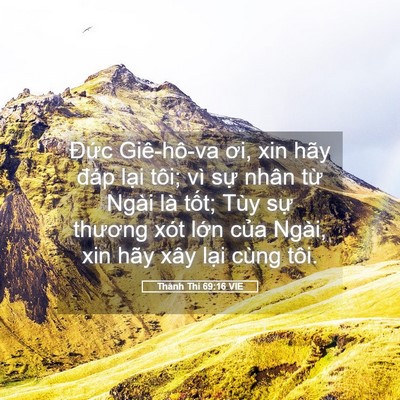 Picture 05 - Thánh Thi 69:16 VIE - Đức Giê-hô-va ơi, xin hãy đáp lại - Bible Verse Picture