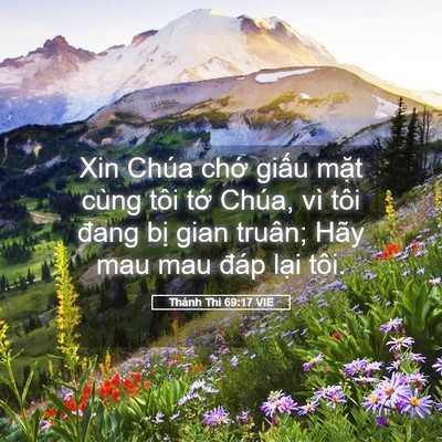 Picture 05 - Thánh Thi 69:17 VIE - Xin Chúa chớ giấu mặt cùng tôi tớ - Bible Verse Picture