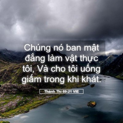 Picture 05 - Thánh Thi 69:21 VIE - Chúng nó ban mật đắng làm vật thực - Bible Verse Picture