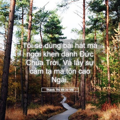 Picture 05 - Thánh Thi 69:30 VIE - Tôi sẽ dùng bài hát mà ngợi khen danh - Bible Verse Picture