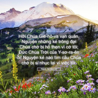 Picture 05 - Thánh Thi 69:6 VIE - Hỡi Chúa Giê-hô-va vạn quân, Nguyện - Bible Verse Picture