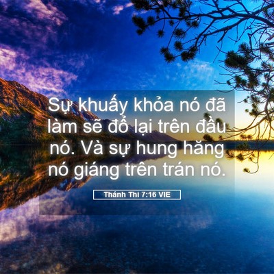 Picture 05 - Thánh Thi 7:16 VIE - Sự khuấy khỏa nó đã làm sẽ đổ - Bible Verse Picture