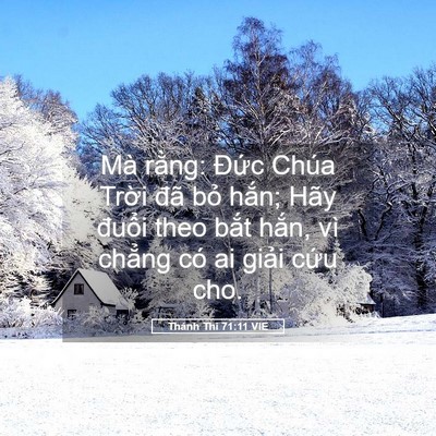 Picture 05 - Thánh Thi 71:11 VIE - Mà rằng: Đức Chúa Trời đã bỏ hắn; - Bible Verse Picture