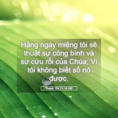 Picture 05 - Thánh Thi 71:15 VIE - Hằng ngày miệng tôi sẽ thuật sự công - Bible Verse Picture