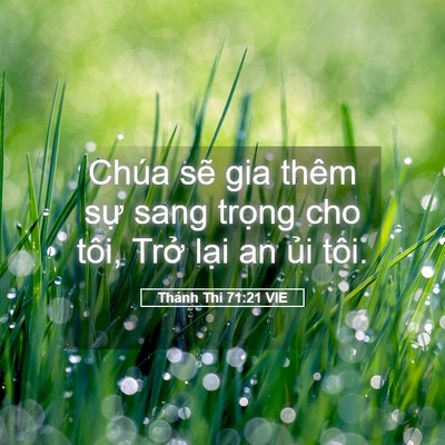 Picture 05 - Thánh Thi 71:21 VIE - Chúa sẽ gia thêm sự sang trọng cho tôi, - Bible Verse Picture