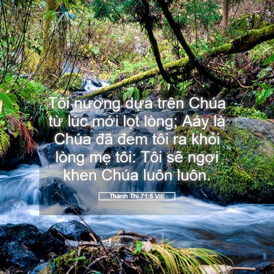 Picture 05 - Thánh Thi 71:6 VIE - Tôi nương dựa trên Chúa từ lúc mới - Bible Verse Picture