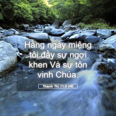 Picture 05 - Thánh Thi 71:8 VIE - Hằng ngày miệng tôi đầy sự ngợi khen - Bible Verse Picture