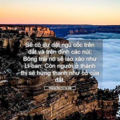 Picture 05 - Thánh Thi 72:16 VIE - Sẽ có dư dật ngũ cốc trên đất và - Bible Verse Picture