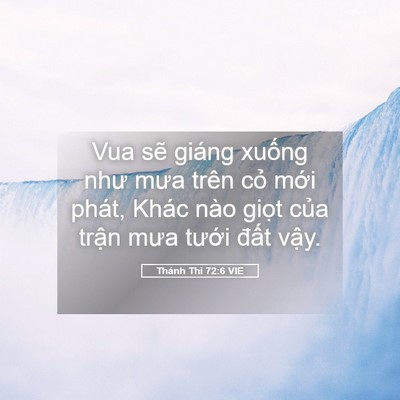 Picture 05 - Thánh Thi 72:6 VIE - Vua sẽ giáng xuống như mưa trên cỏ - Bible Verse Picture
