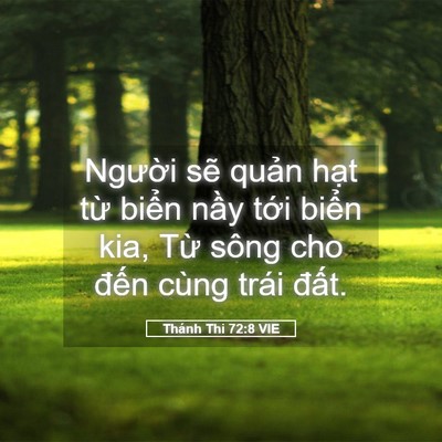 Picture 05 - Thánh Thi 72:8 VIE - Người sẽ quản hạt từ biển nầy - Bible Verse Picture