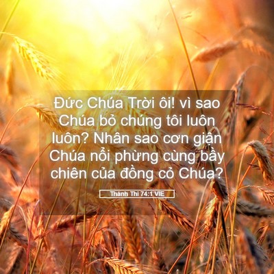 Picture 05 - Thánh Thi 74:1 VIE - Đức Chúa Trời ôi! vì sao Chúa bỏ - Bible Verse Picture
