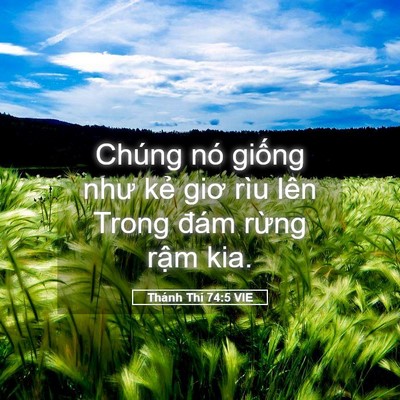 Picture 05 - Thánh Thi 74:5 VIE - Chúng nó giống như kẻ giơ rìu lên Trong - Bible Verse Picture