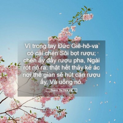 Picture 05 - Thánh Thi 75:8 VIE - Vì trong tay Đức Giê-hô-va có cái chén - Bible Verse Picture