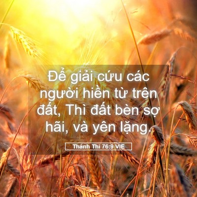 Picture 05 - Thánh Thi 76:9 VIE - Để giải cứu các người hiền từ - Bible Verse Picture