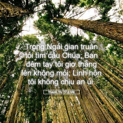 Picture 05 - Thánh Thi 77:2 VIE - Trong Ngài gian truân tôi tìm cầu Chúa; - Bible Verse Picture