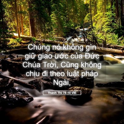 Picture 05 - Thánh Thi 78:10 VIE - Chúng nó không gìn giữ giao ước của - Bible Verse Picture
