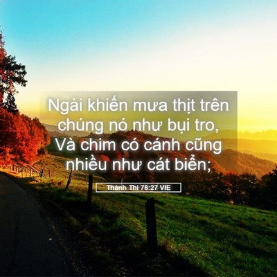 Picture 05 - Thánh Thi 78:27 VIE - Ngài khiến mưa thịt trên chúng nó như - Bible Verse Picture