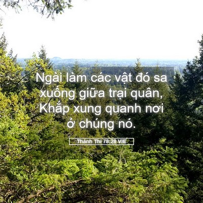 Picture 05 - Thánh Thi 78:28 VIE - Ngài làm các vật đó sa xuống giữa - Bible Verse Picture