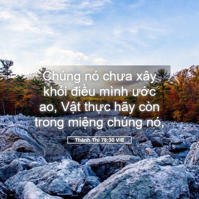 Picture 05 - Thánh Thi 78:30 VIE - Chúng nó chưa xây khỏi điều mình ước - Bible Verse Picture