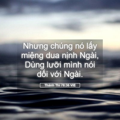 Picture 05 - Thánh Thi 78:36 VIE - Nhưng chúng nó lấy miệng dua nịnh Ngài, - Bible Verse Picture