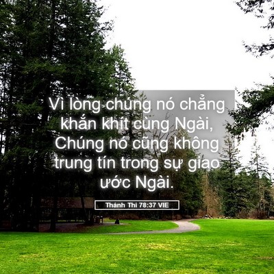 Picture 05 - Thánh Thi 78:37 VIE - Vì lòng chúng nó chẳng khắn khít cùng - Bible Verse Picture