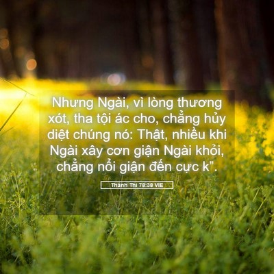Picture 05 - Thánh Thi 78:38 VIE - Nhưng Ngài, vì lòng thương xót, tha tội - Bible Verse Picture
