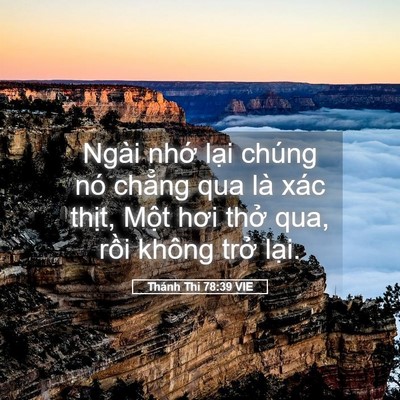 Picture 05 - Thánh Thi 78:39 VIE - Ngài nhớ lại chúng nó chẳng qua là xác - Bible Verse Picture