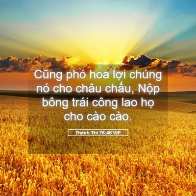 Picture 05 - Thánh Thi 78:46 VIE - Cũng phó hoa lợi chúng nó cho châu chấu, - Bible Verse Picture