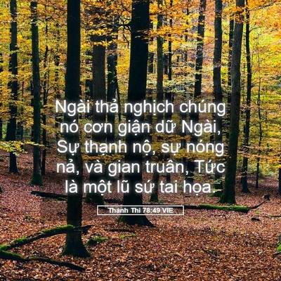 Picture 05 - Thánh Thi 78:49 VIE - Ngài thả nghịch chúng nó cơn giận dữ - Bible Verse Picture
