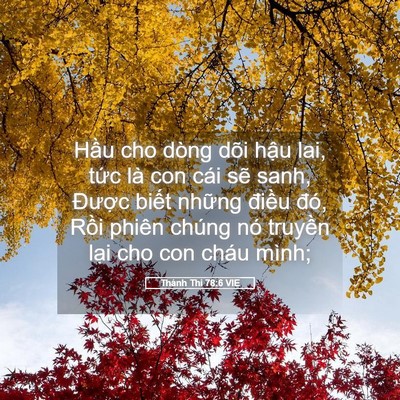 Picture 05 - Thánh Thi 78:6 VIE - Hầu cho dòng dõi hậu lai, tức là con - Bible Verse Picture