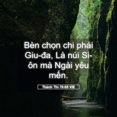 Picture 05 - Thánh Thi 78:68 VIE - Bèn chọn chi phái Giu-đa, Là núi Si-ôn - Bible Verse Picture