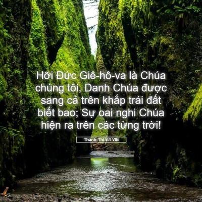 Picture 05 - Thánh Thi 8:1 VIE - Hỡi Đức Giê-hô-va là Chúa chúng tôi, - Bible Verse Picture