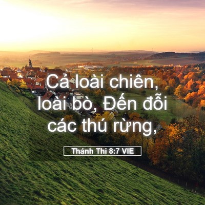 Picture 05 - Thánh Thi 8:7 VIE - Cả loài chiên, loài bò, Đến đỗi các - Bible Verse Picture