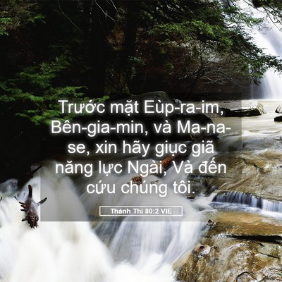 Picture 05 - Thánh Thi 80:2 VIE - Trước mặt Eùp-ra-im, Bên-gia-min, và - Bible Verse Picture