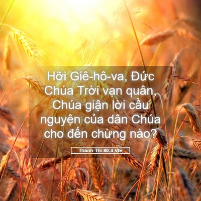 Picture 05 - Thánh Thi 80:4 VIE - Hỡi Giê-hô-va, Đức Chúa Trời vạn - Bible Verse Picture