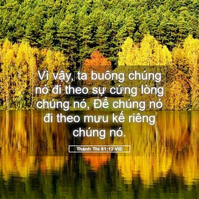 Picture 05 - Thánh Thi 81:12 VIE - Vì vậy, ta buông chúng nó đi theo sự - Bible Verse Picture