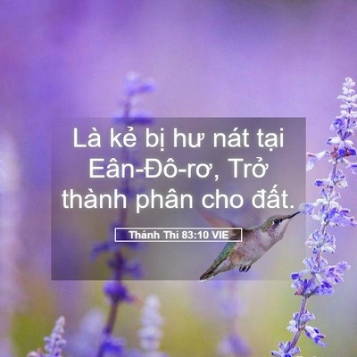 Picture 05 - Thánh Thi 83:10 VIE - Là kẻ bị hư nát tại Eân-Đô-rơ, Trở - Bible Verse Picture