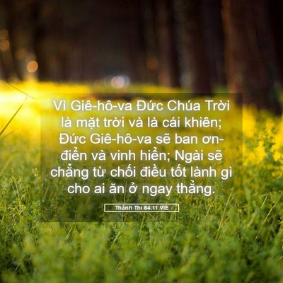 Picture 05 - Thánh Thi 84:11 VIE - Vì Giê-hô-va Đức Chúa Trời là mặt - Bible Verse Picture