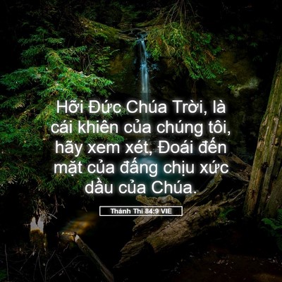 Picture 05 - Thánh Thi 84:9 VIE - Hỡi Đức Chúa Trời, là cái khiên của - Bible Verse Picture