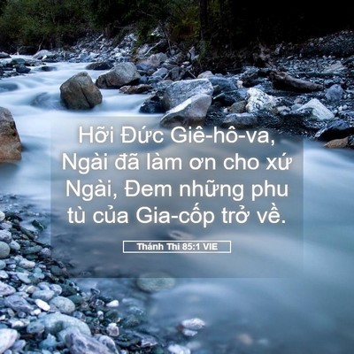 Picture 05 - Thánh Thi 85:1 VIE - Hỡi Đức Giê-hô-va, Ngài đã làm ơn cho - Bible Verse Picture