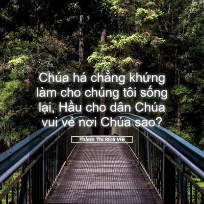 Picture 05 - Thánh Thi 85:6 VIE - Chúa há chẳng khứng làm cho chúng tôi - Bible Verse Picture