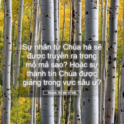 Picture 05 - Thánh Thi 88:11 VIE - Sự nhân từ Chúa há sẽ được truyền - Bible Verse Picture